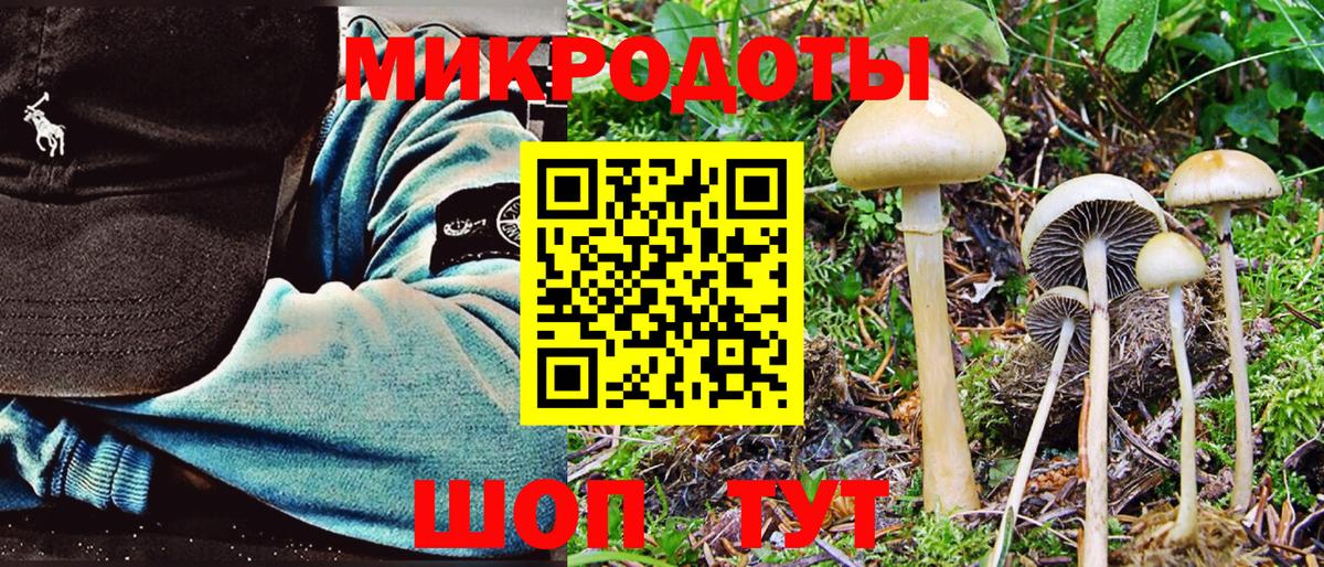 Псилоцибиновые грибы MAGIC MUSHROOMS Тимашёвск